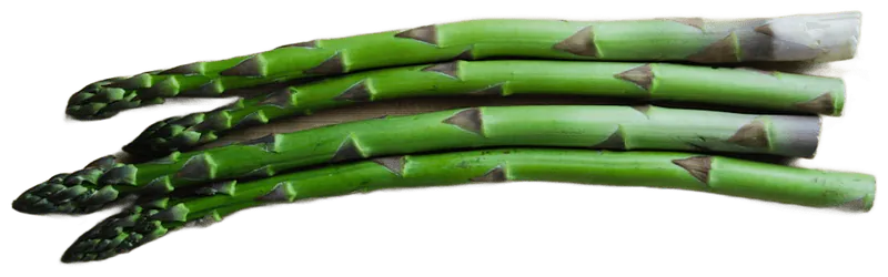Asparagus
