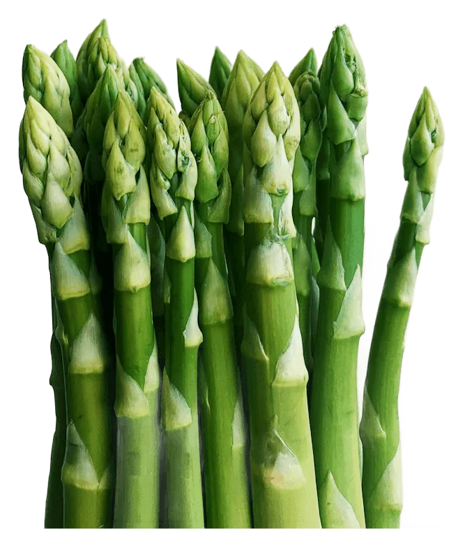 Asparagus