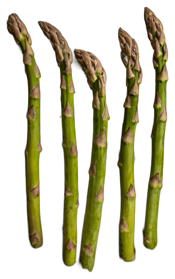 Asparagus