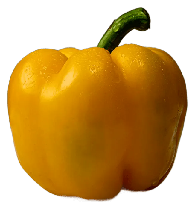 Bell Pepper