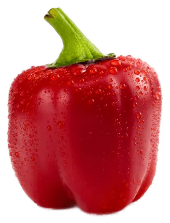 Bell Pepper