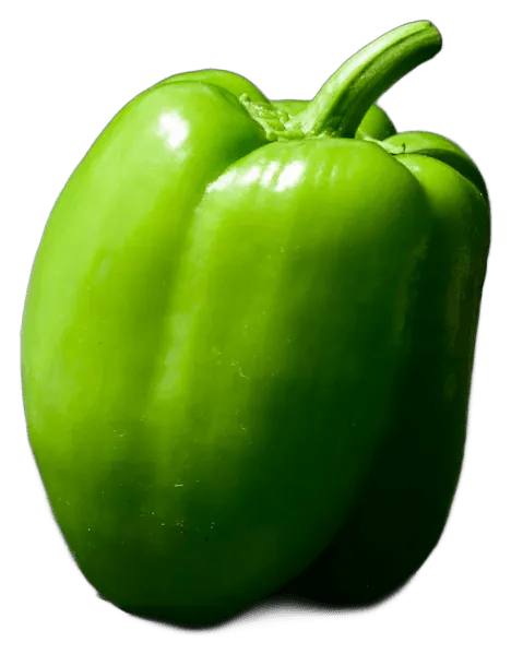 Bell Pepper
