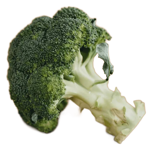 Broccoli