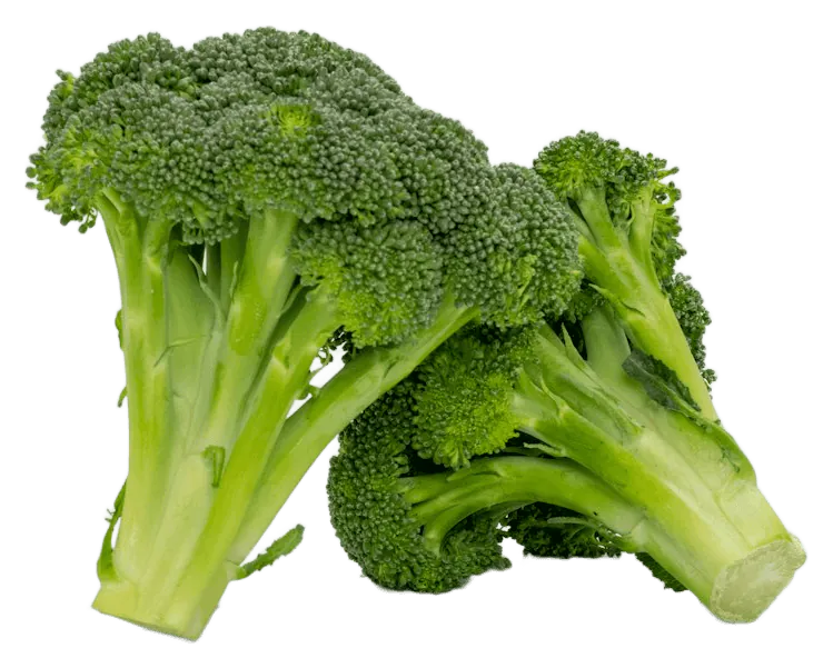 Broccoli
