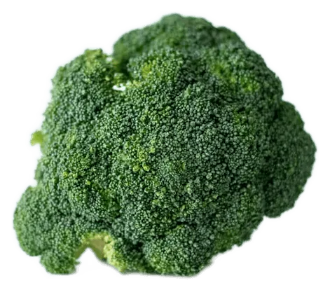 Broccoli