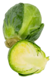 Brussels Sprouts