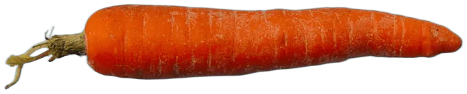 Carrot