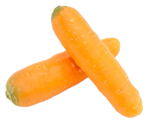 Carrot