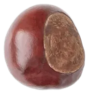 Chestnut