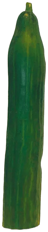 Cucumber