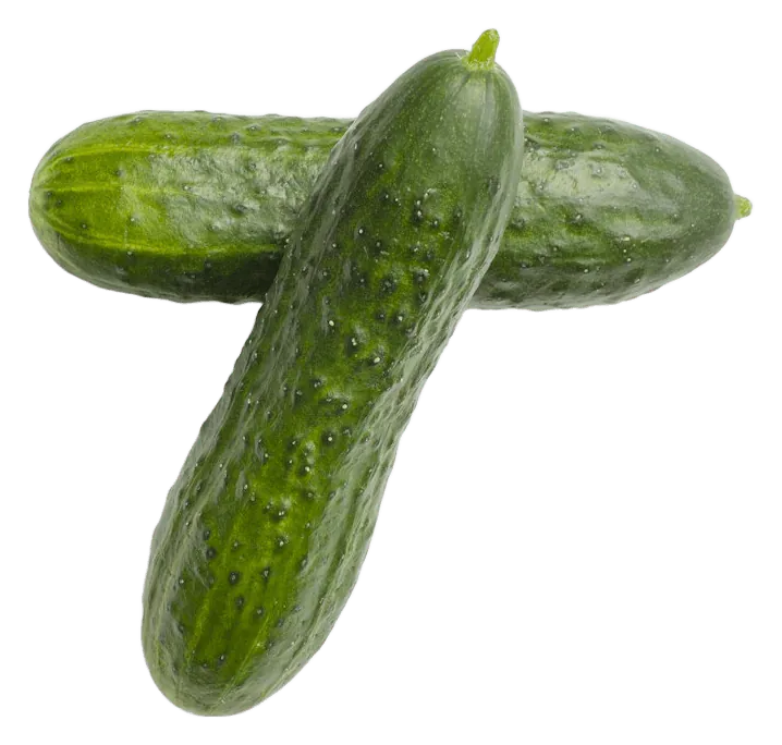 Cucumber