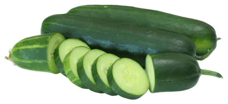 Cucumber