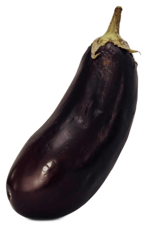 Eggplant