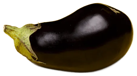 Eggplant
