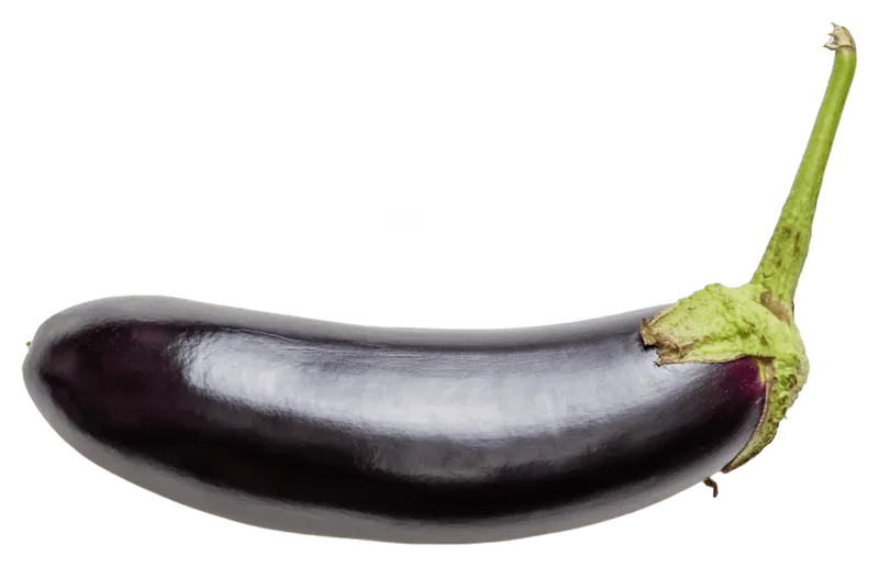 Eggplant