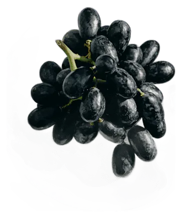 Grape