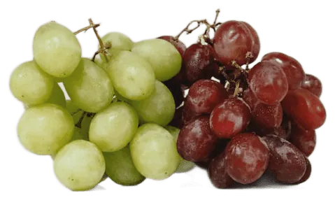 Grape