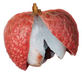 Lychee