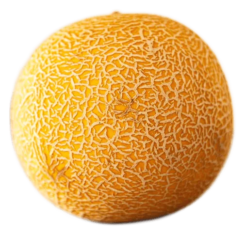 Melon
