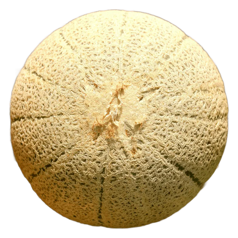 Melon