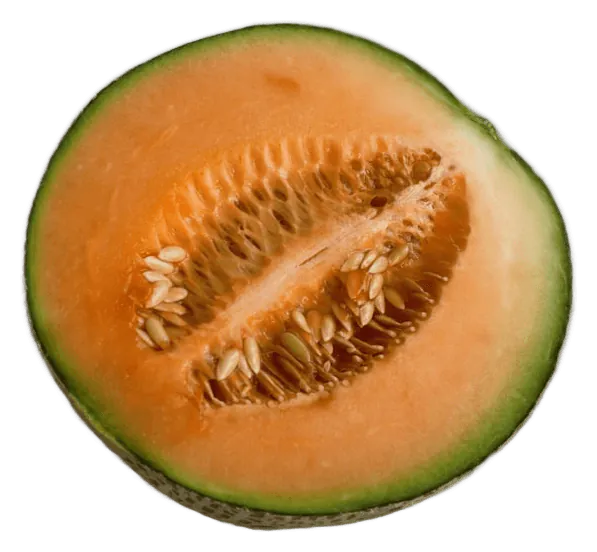 Melon