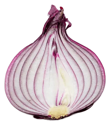 Onion