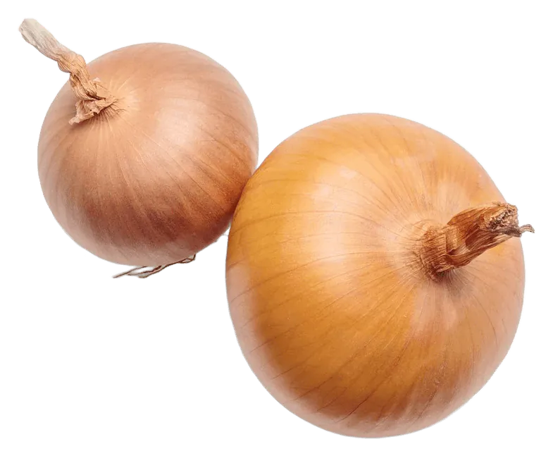 Onion