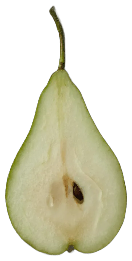 Pear