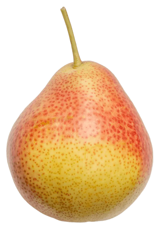 Pear