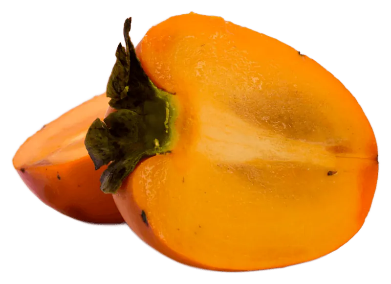 Persimmon