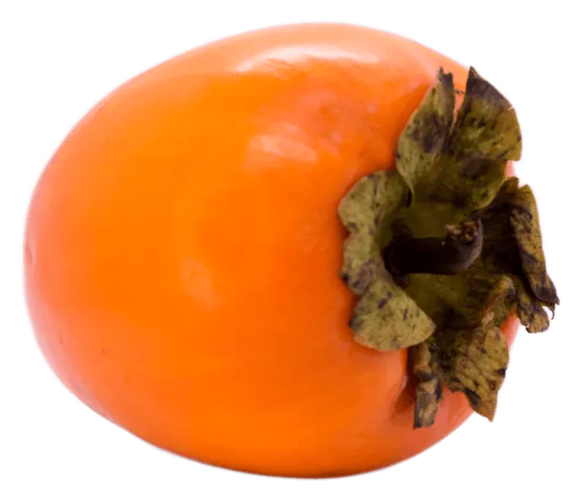 Persimmon