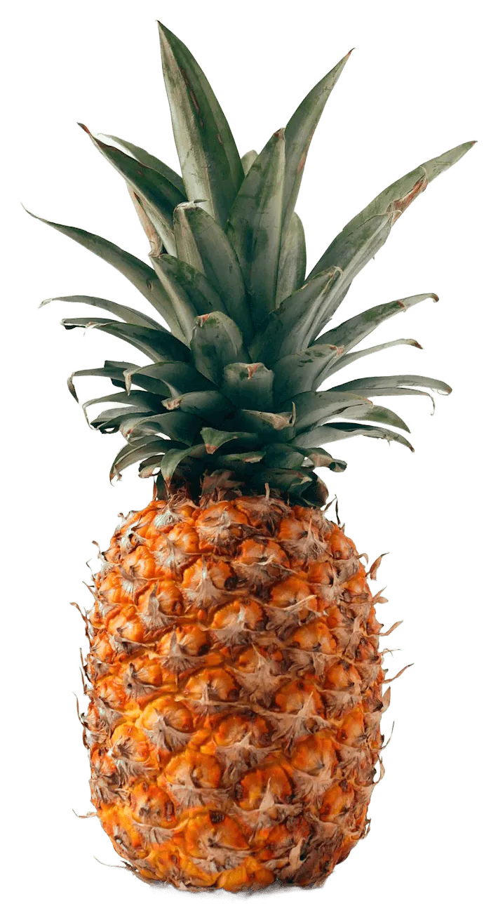 Pineapple