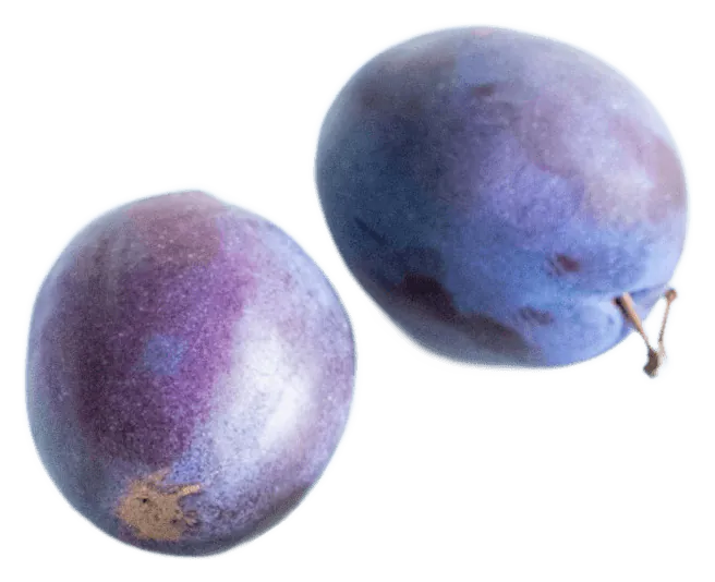Plum