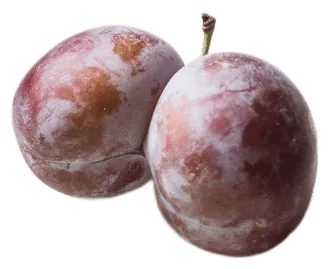 Plum