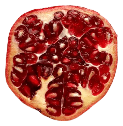 Pomegranate