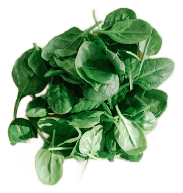 Spinach