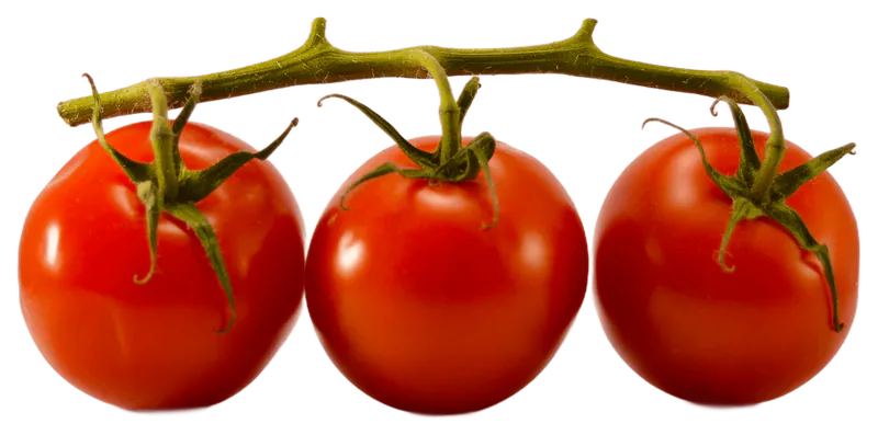 Tomato