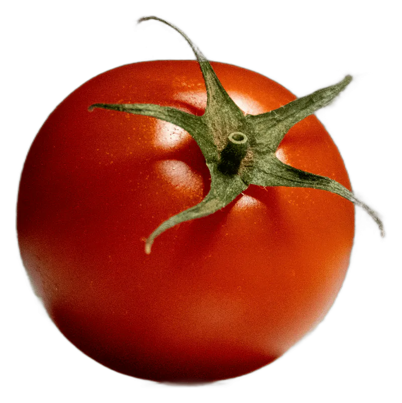 Tomato