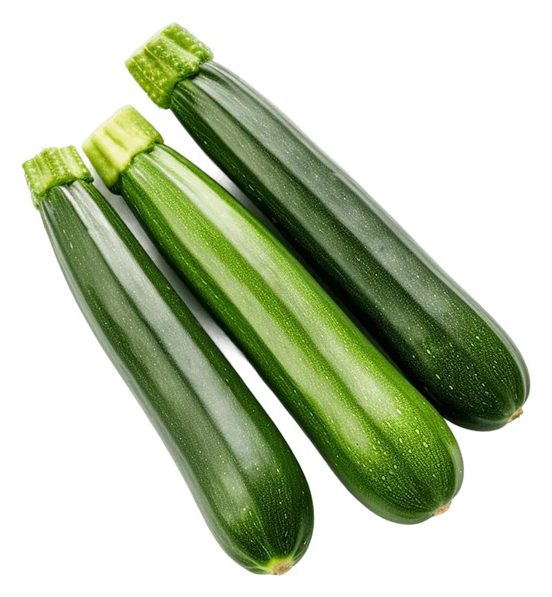 Zucchini